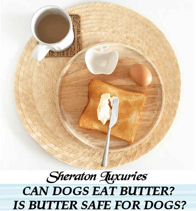 is butter okay for dogs