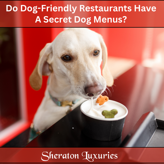 Do Dog-Friendly Restaurants Have Secret Dog Menus? Which Restaurant Menus Are Safe & Which To Avoid?