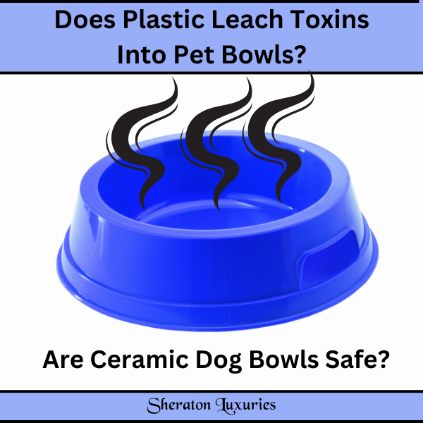 Dog allergic to plastic bowl hotsell