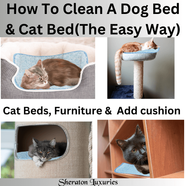 Easy clean cat bed best sale