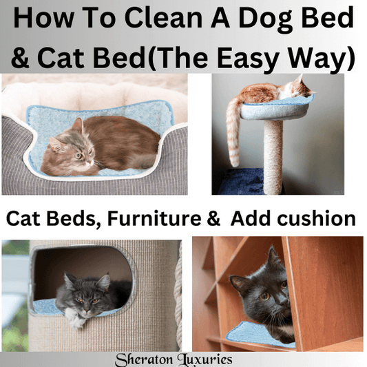 How to Clean a Dog Bed & Cat Bed-Clever Strategies Included