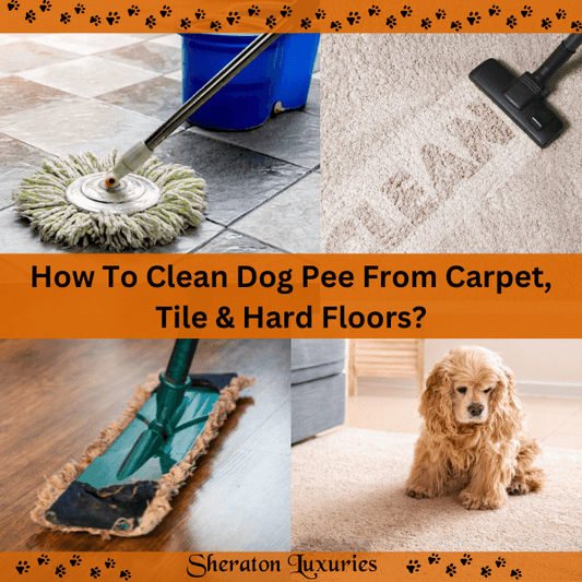 How To Clean Dog Pee From Carpet, Tile & Hard Floors?