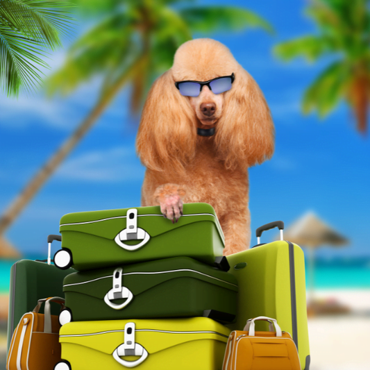 Jacksonville FL Pet-Friendly Hotels-Travelers Pick Their Favorite