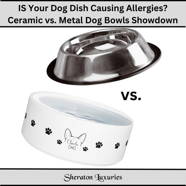 IS Your Dog Dish Causing Allergies Ceramic vs. Metal Dog Bowls