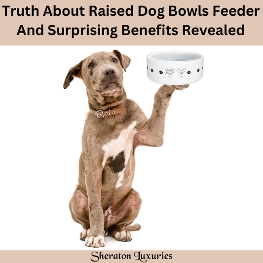 Unveiling The Truth About Dog Bowls Elevated: Myths Debunked And Surprising Benefits Revealed