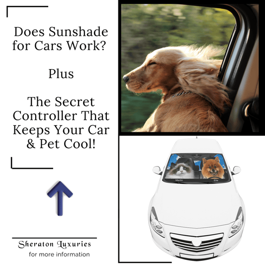 Does Sunshade for Cars Work? Plus The Secret Controller That Keeps Your Car & Pet Cool!