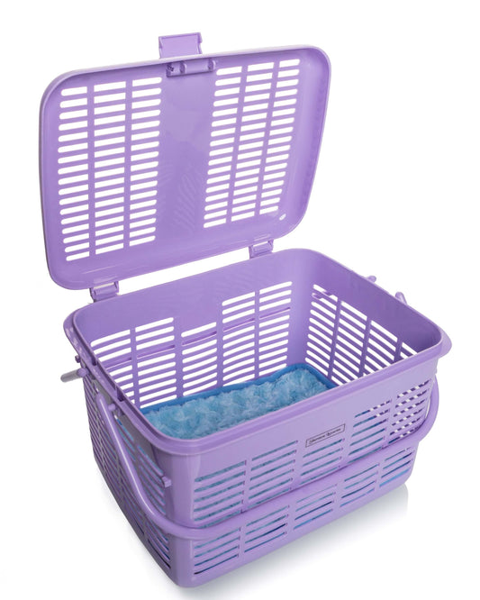 Traveling With Your Pet? Should your pet carriers be recalled? Ensure Their Safety and Comfort
