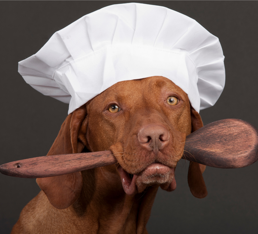 DIY Recipes To Pair With Freeze-Dried Treats For Pets| Easy & Health Pet snacks