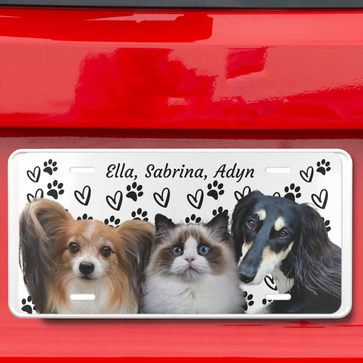 Custom Pet License Plate Frame - Personalized Dog & Cat Photo, Paw Print Design, Aluminum Pet Portrait Car Accessory