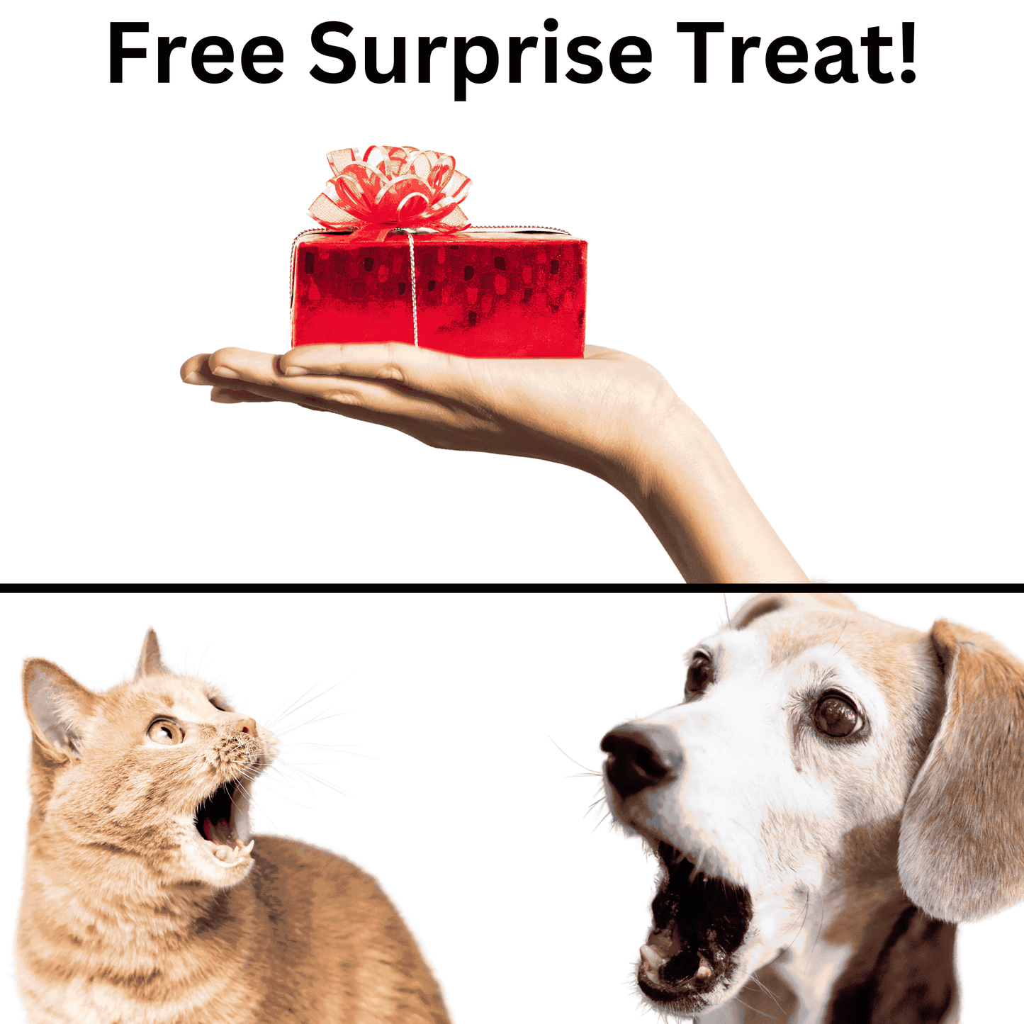 Fresh Freeze Dried Chicken Liver With Sweet potato-Candy For Dogs & Cats