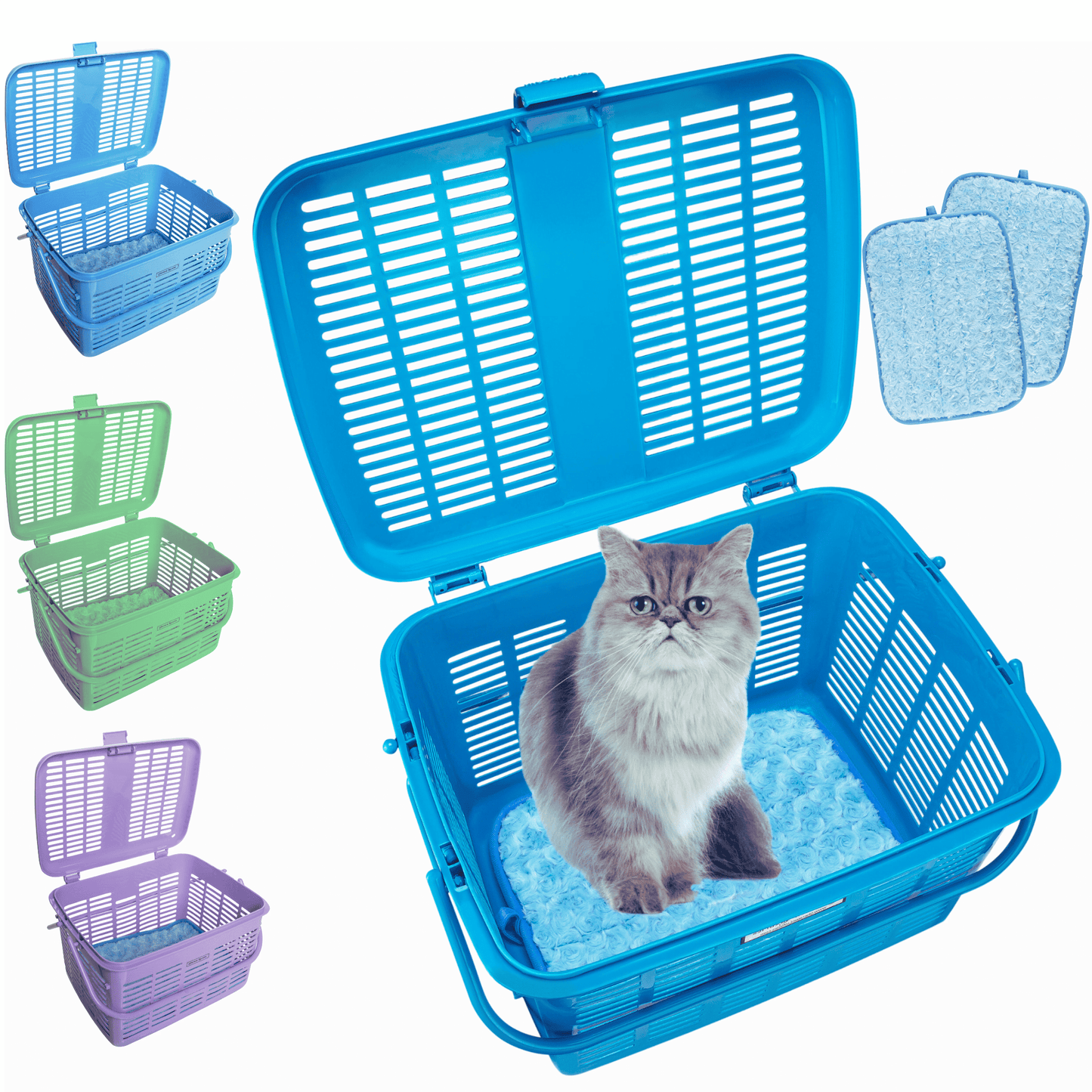 1 Hard Cat Carriers Bed- Wide Top Opening Plastic Carrier Door-Fully Assembled-Easily Place Cat Inside Medium15 3/8"x 11 1/8"x 9 7/8 "