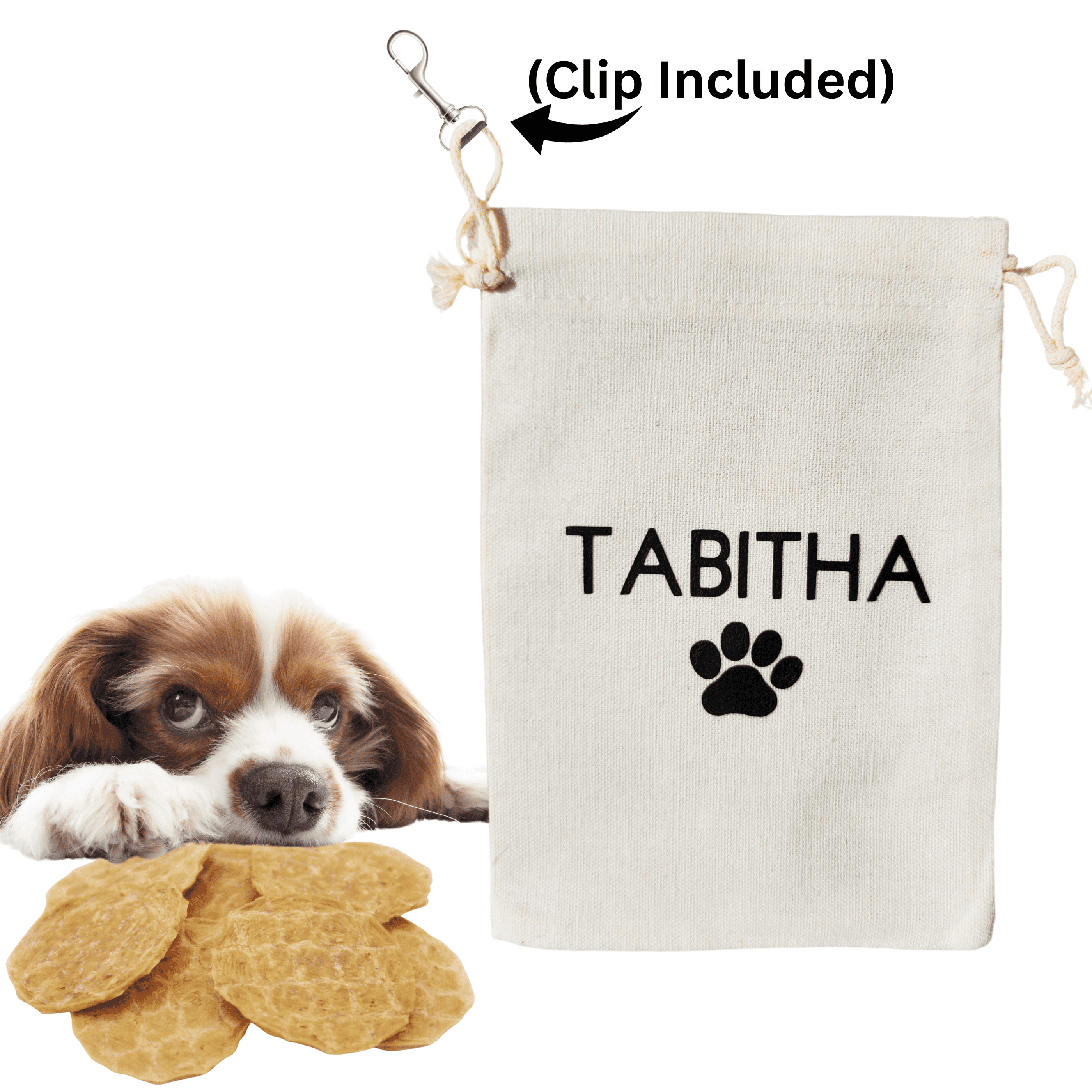 Treat pouch for shop leash