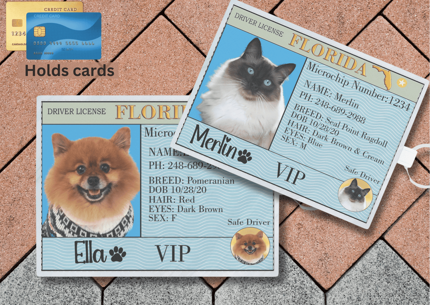 Pet ID License & Hands-Free Wallet : Your Fast Pass for Seamless Pet Travel