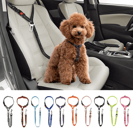 Dog Car Seat Belt & Walking Leash With Secure Lock: Secure Your Pet Quickly & Safely
