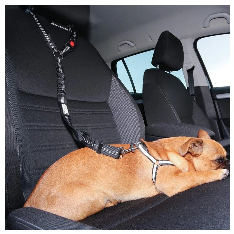 Dog Car Seat Belt & Walking Leash With Secure Lock: Secure Your Pet Quickly & Safely