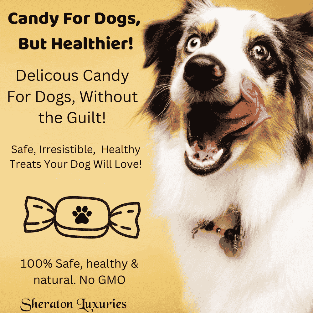 Fresh Freeze Dried Chicken Heart With Sweet potato -Candy For Dogs and Cats