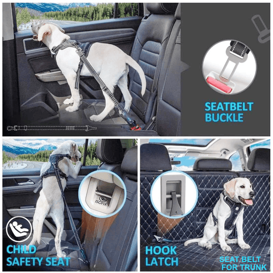 Safety Pet Seatbelt: Secure for Cars & SUVs | Trunk or Back Seat Use | Versatile Attachment