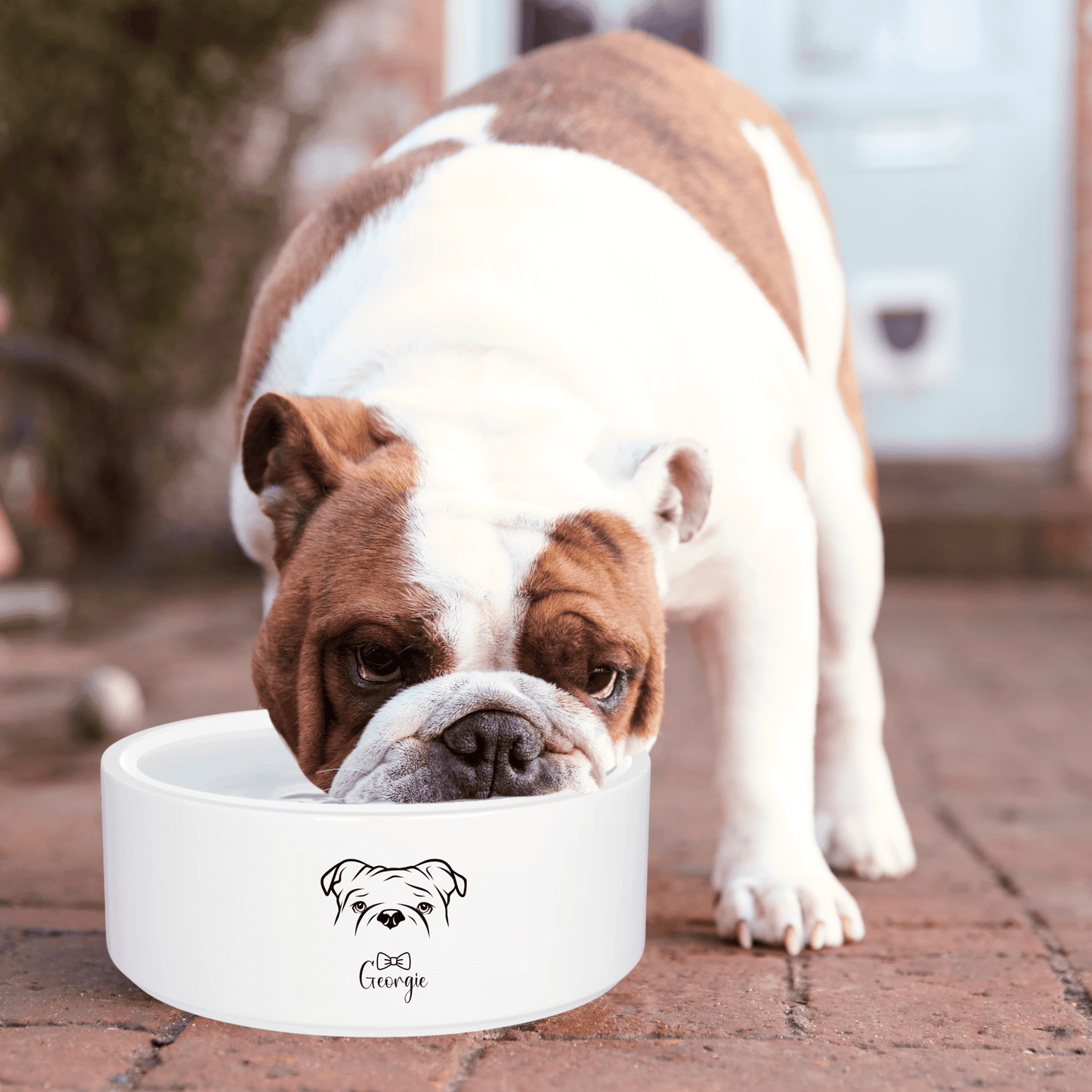 Personalized Ceramic Pet Bowl for Pets: Add Your Pet's Design + Name
