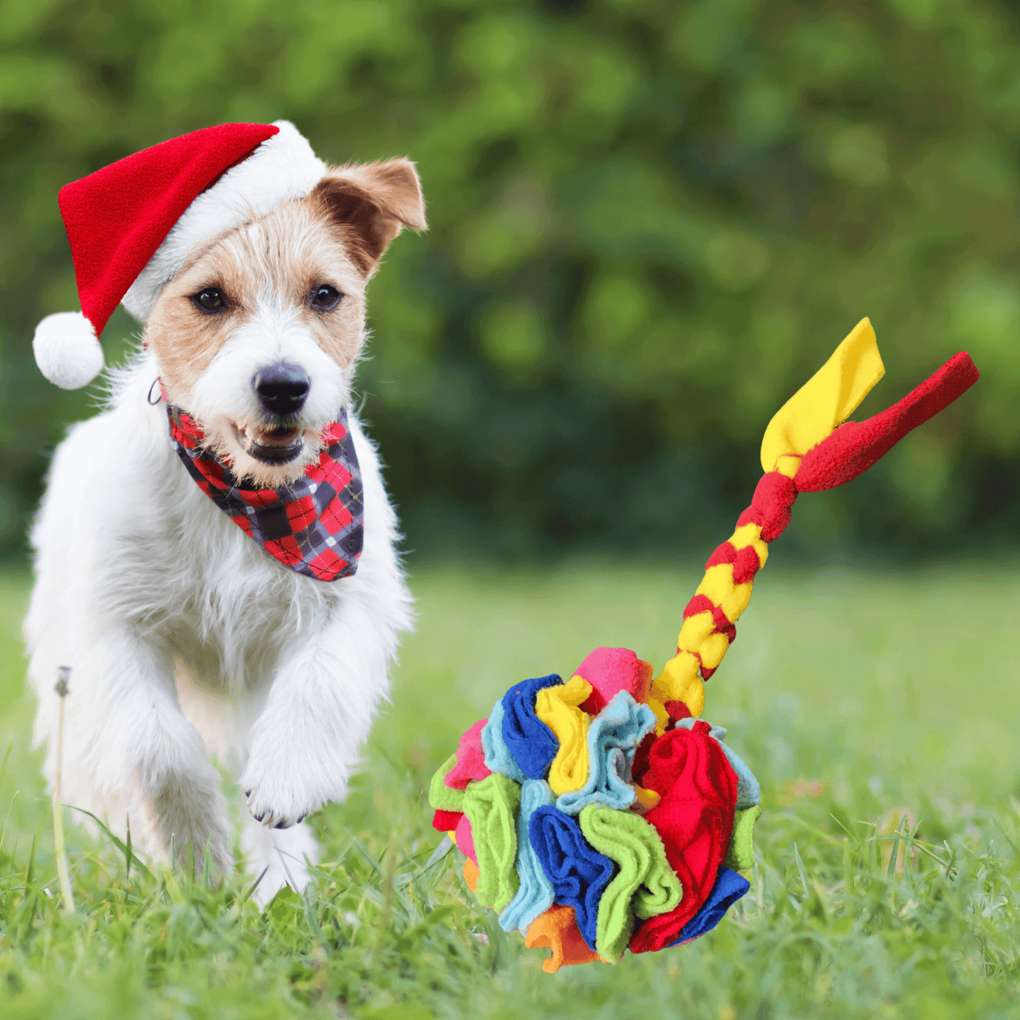 Dog Snuffle Ball Toy With Rope