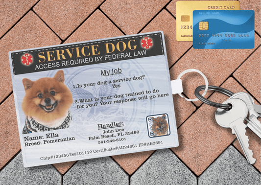 Service Dog ID Wallet: Your Voice in Your Pocket to Help Stop the Hassle