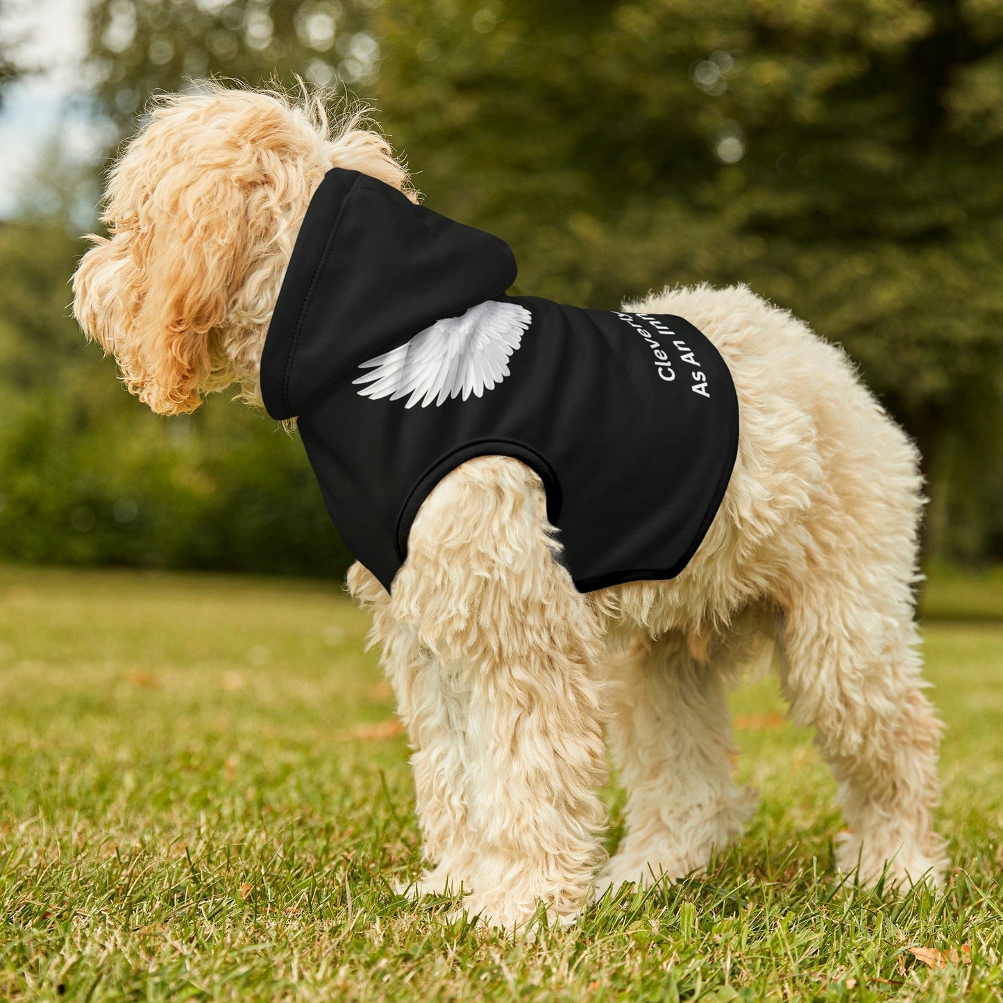 Personalized Dog Hoodie-Dog Angel Sweatshirt-Dog Clothes-Puppy Clothes-Funny Dog Shirt-Personalized Dog Clothes Gift