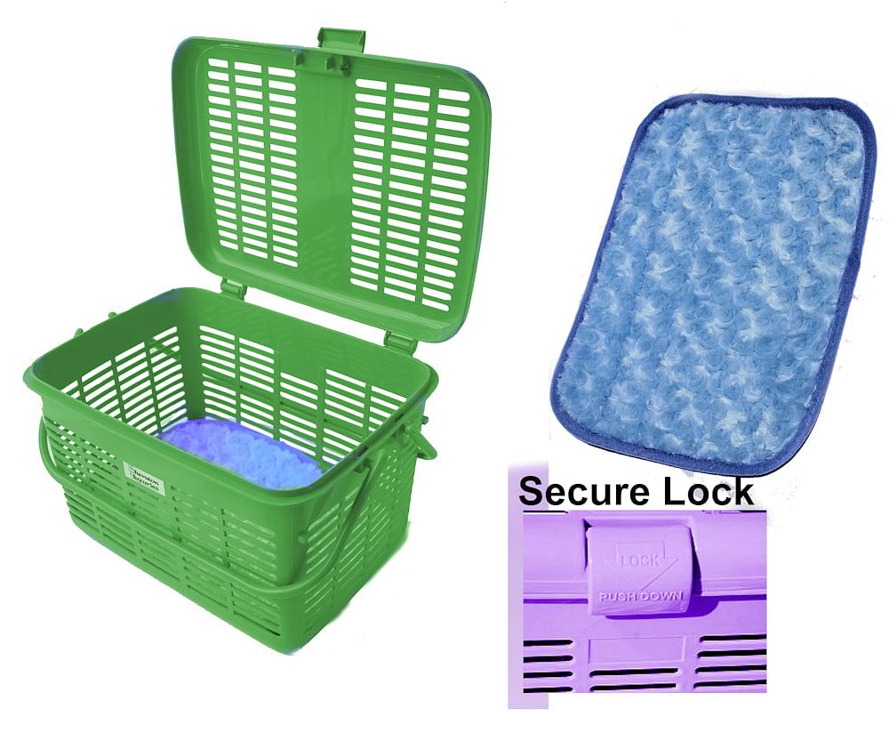Green cat pet dog carrier vet