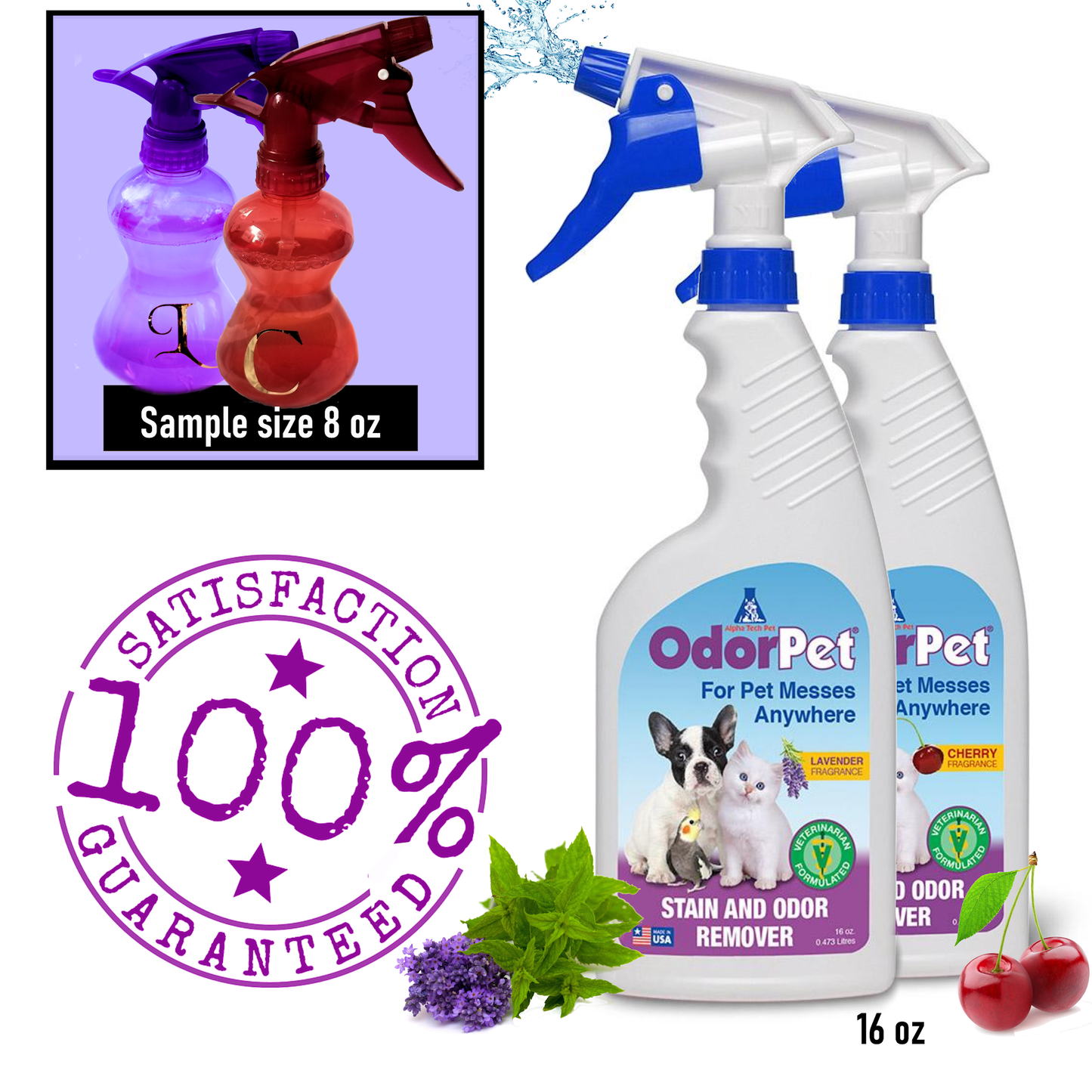 pet stain cleaner