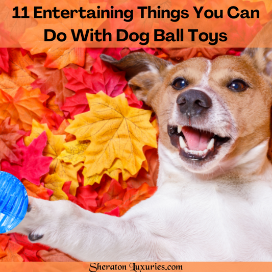 Dog Ball Toys-11 Things You Can Do With  Electric Blue Musical  Dog Ball Toys
