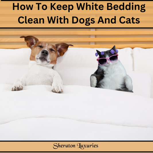 How To Keep White Bedding Clean With Dogs And Cats