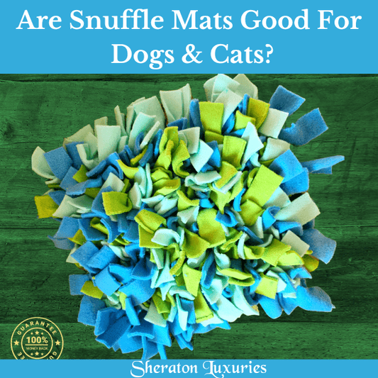 Are Snuffle Mats Good for Dogs & Cats?