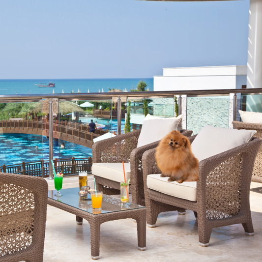 Best 11 Dog Friendly Hotels In Key West Florida-Video Tour Included