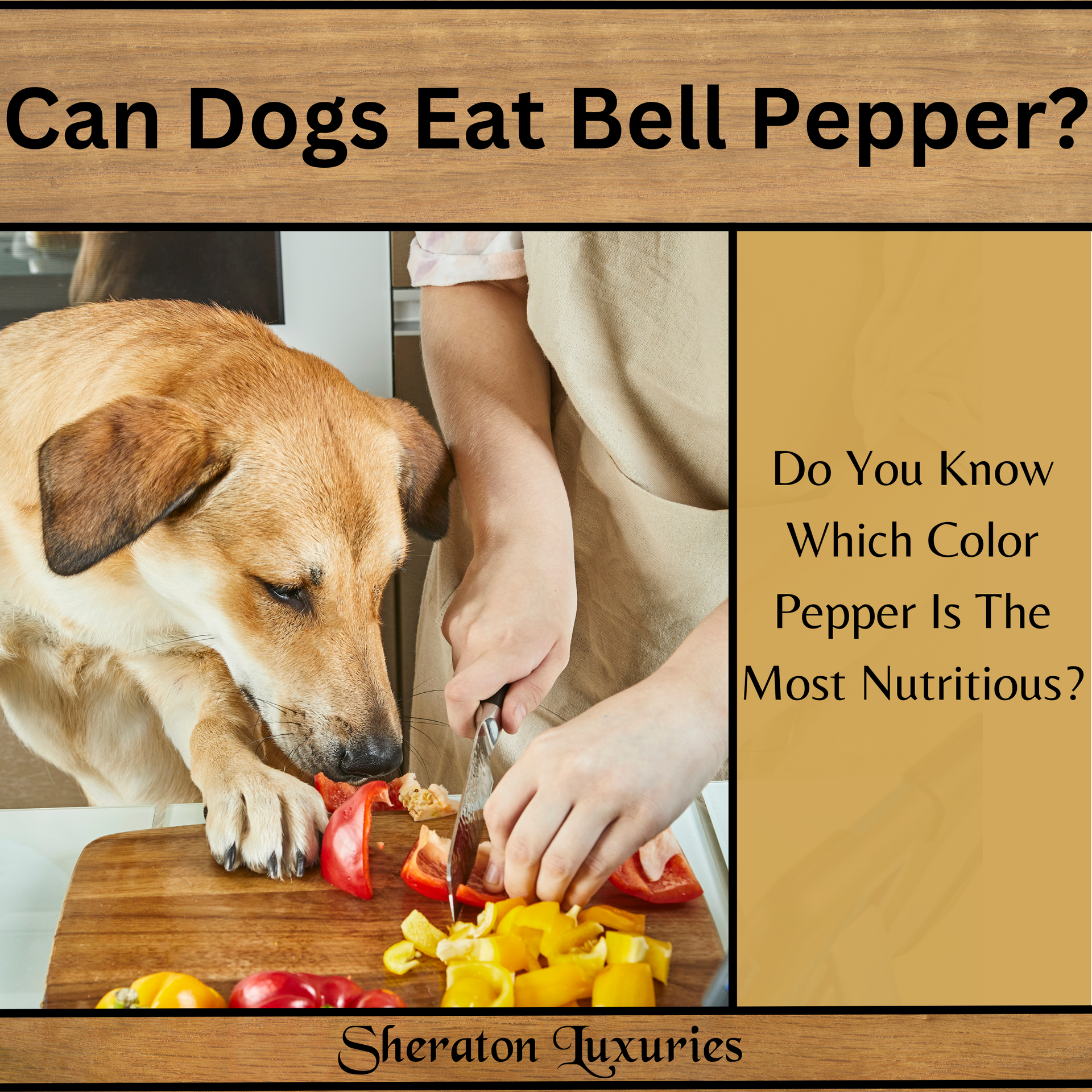 Can dogs eat yellow best sale bell peppers