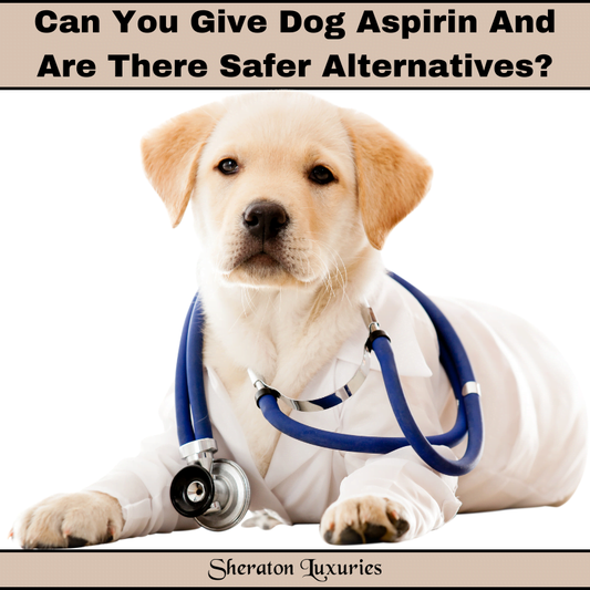Can You Give Dog Aspirin And Are There Safer Alternatives?