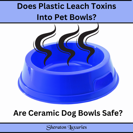 Does Plastic Leach Toxins Into Pet Bowls? Are Ceramic Dog Bowls Safe?