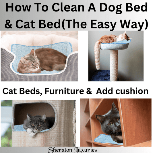 How to Clean a Dog Bed & Cat Bed-Clever Strategies Included