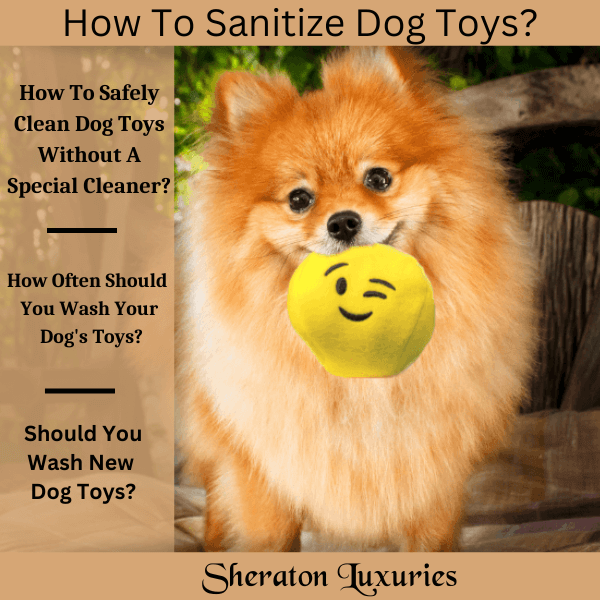 How To Sanitize Dog Toys Sheraton Luxuries