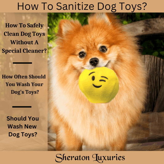 How To Sanitize Dog Toys?