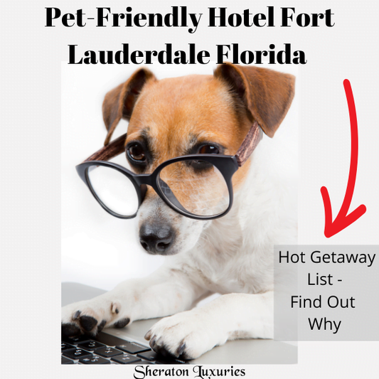 Pet-friendly Hotels In Fort Lauderdale FL -Hot Getaway List- Find Out Why