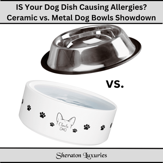 IS Your Dog Dish Causing Allergies? Ceramic vs. Metal Dog Bowls Showdown+ Solutions