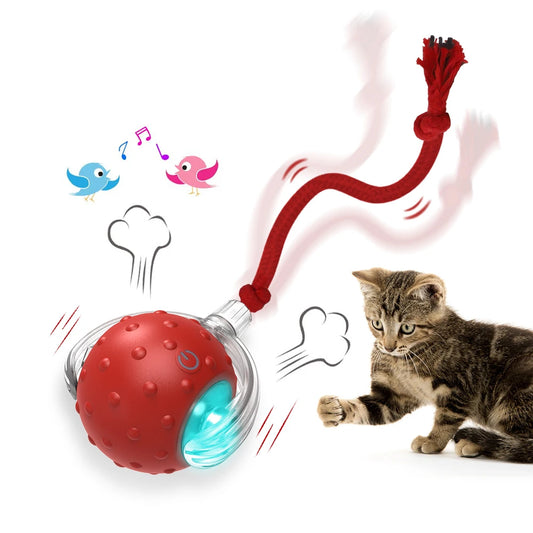 Light up Cat E-Ball Toy With Bird Sounds Engineered For Endless fun