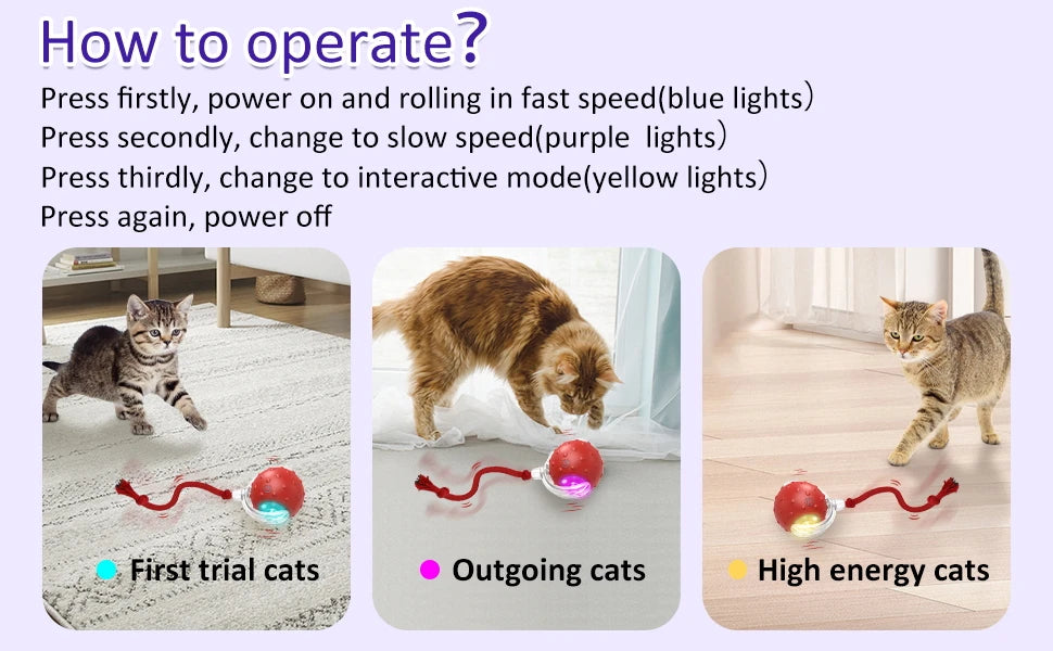 Light up Cat E-Ball Toy With Bird Sounds Engineered For Endless fun