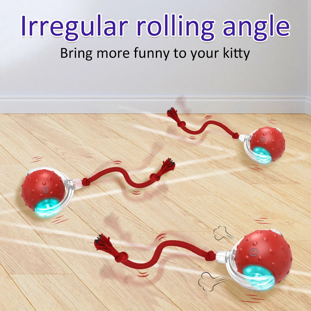 Light up Cat E-Ball Toy With Bird Sounds Engineered For Endless fun