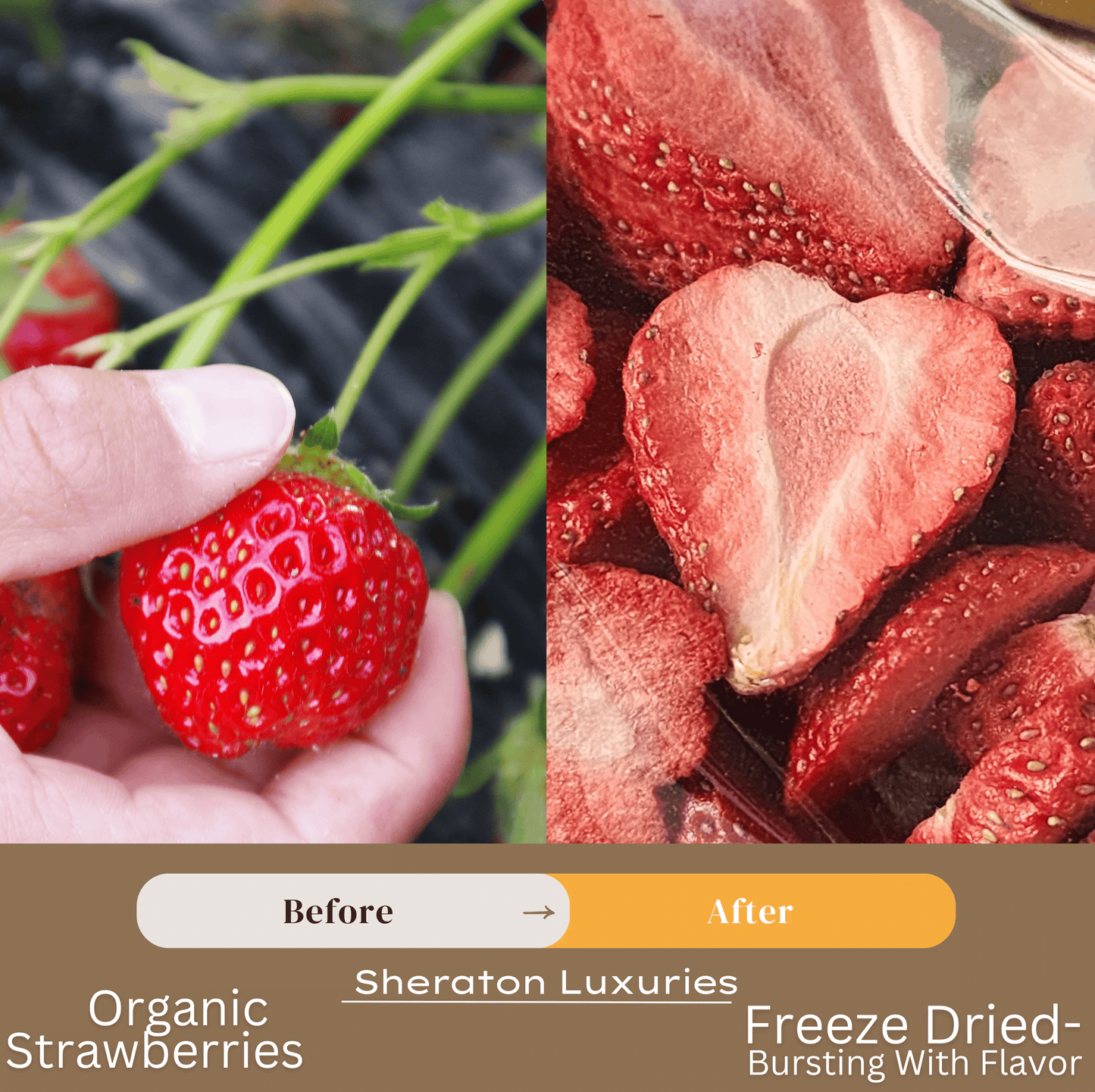 Organic Freeze-Dried Strawberries – Crunchy Snack & Dessert Topping with Optional Vanilla Sugar