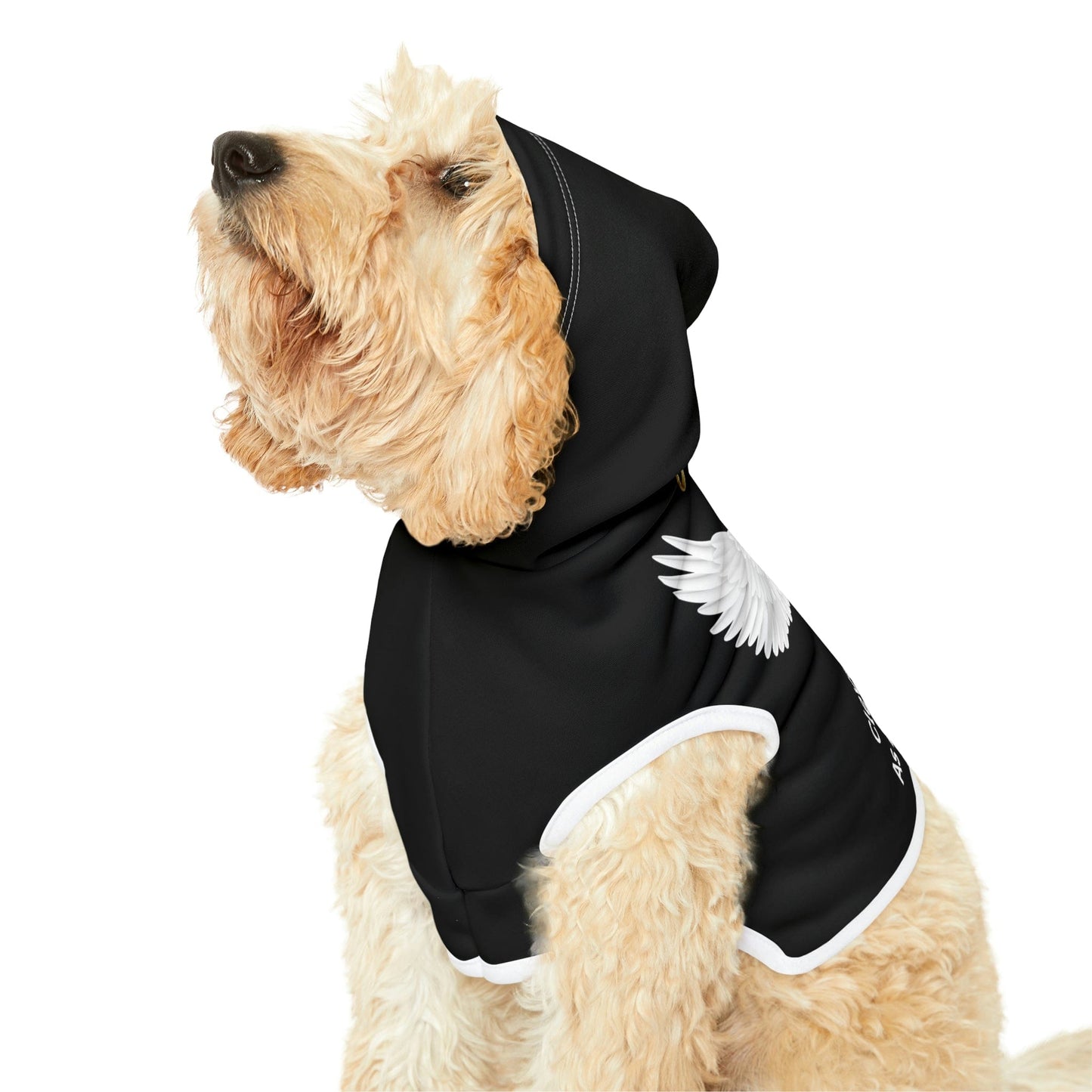 Personalized Dog Hoodie-Dog Angel Sweatshirt-Dog Clothes-Puppy Clothes-Funny Dog Shirt-Personalized Dog Clothes Gift