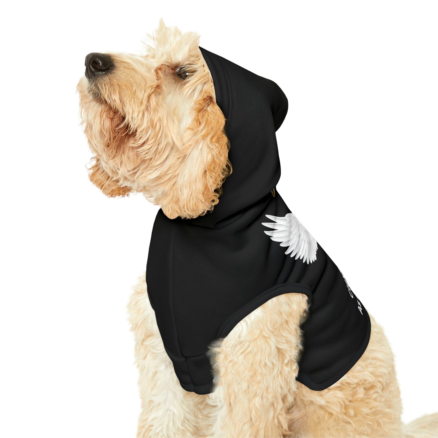 Personalized Dog Hoodie-Dog Angel Sweatshirt-Dog Clothes-Puppy Clothes-Funny Dog Shirt-Personalized Dog Clothes Gift