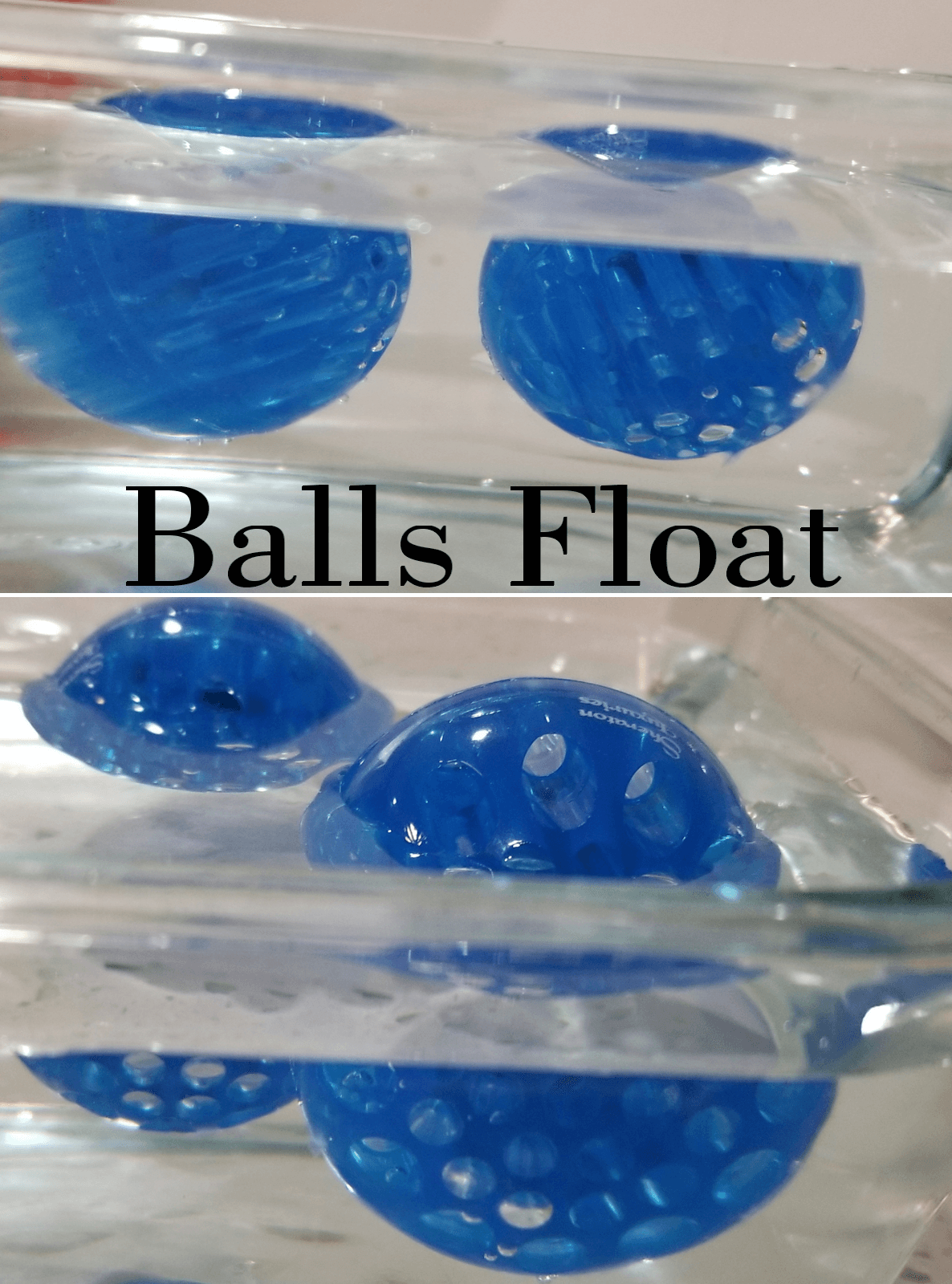 Floating Dog ball toy
