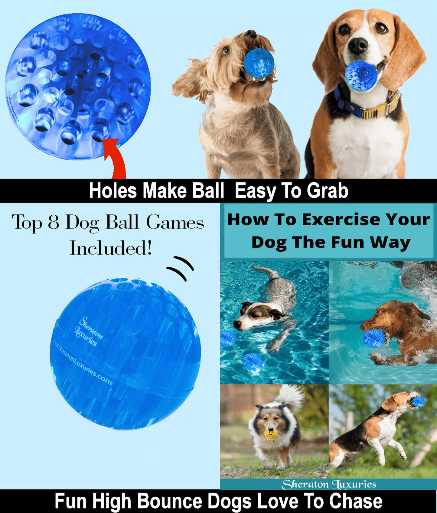 3 dog ball toys & dog exercise games