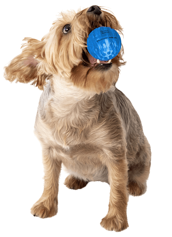Dog Ball Toys 3-Rubber Tough Dog Toys-Colorful Puppy Ball Toy