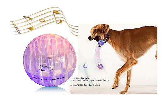 1 Dog Ball Toys+Light Up Dog Toys-Sound Toys-Tough Bouncing Balls for Dogs,  Pet Toys For Blind & Old Dogs