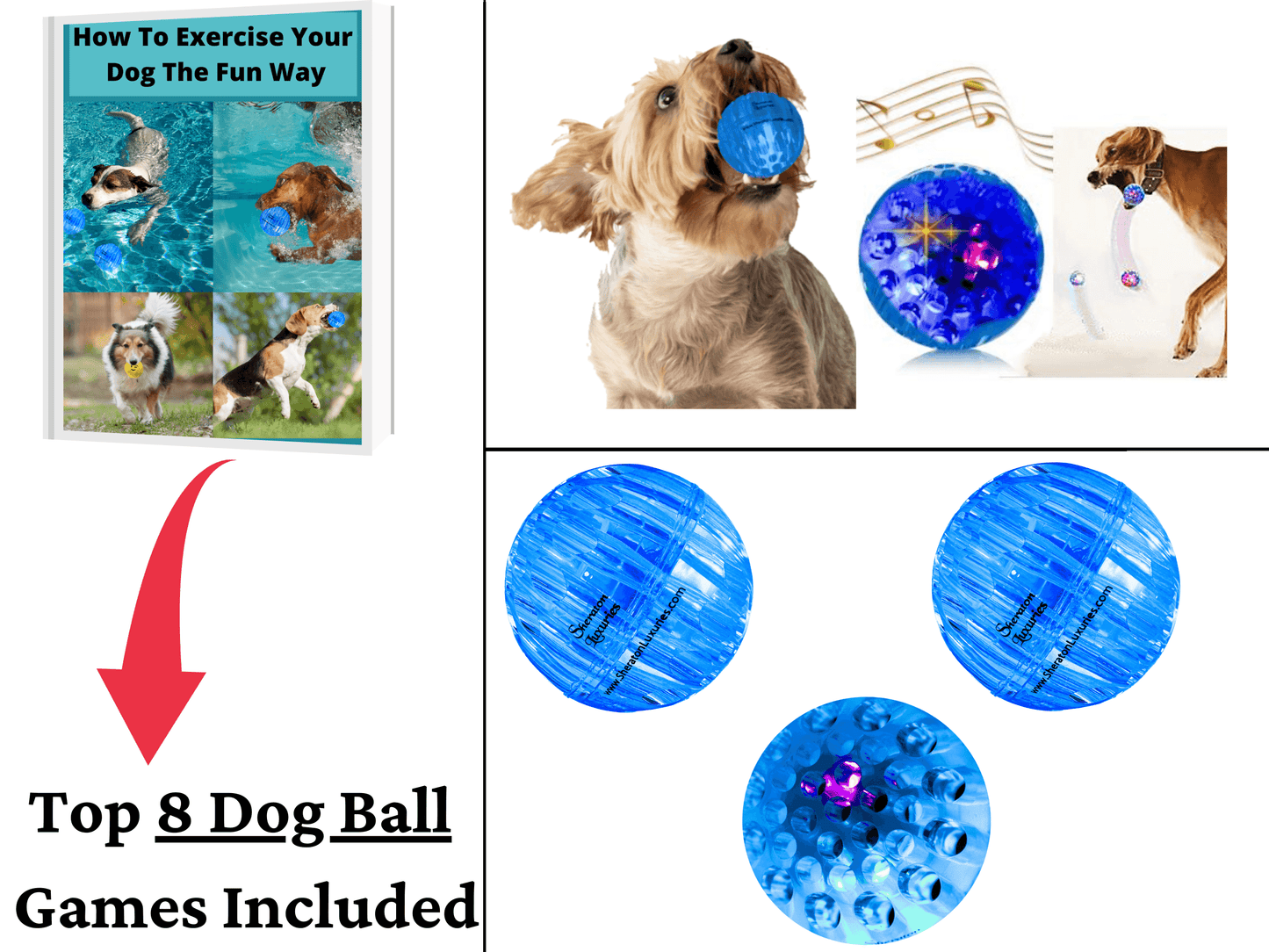Best light top up dog ball